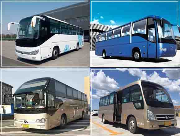 甌海區(qū)旅游租車